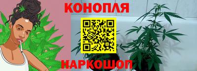 амф Донской