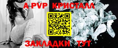 амф Донской