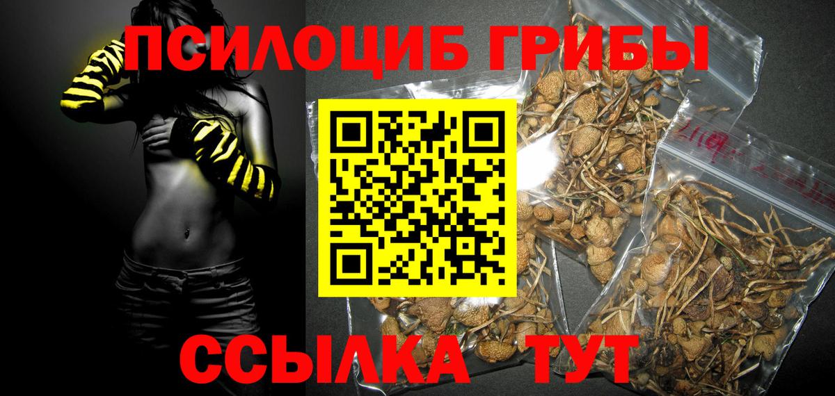 Галлюциногенные грибы GOLDEN TEACHER  Вход с VPN  Луга 